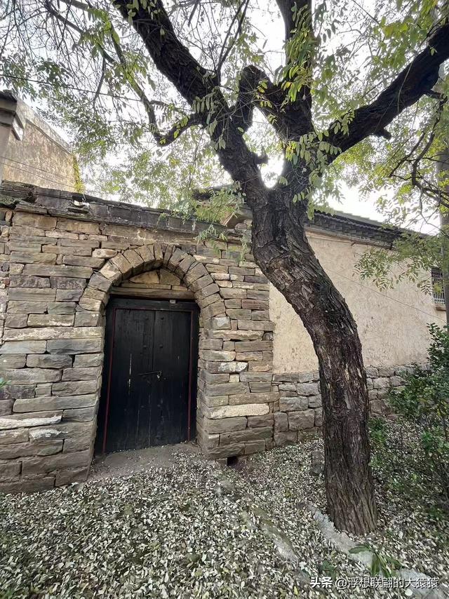 泰安肥城西陆房村里的大白菜