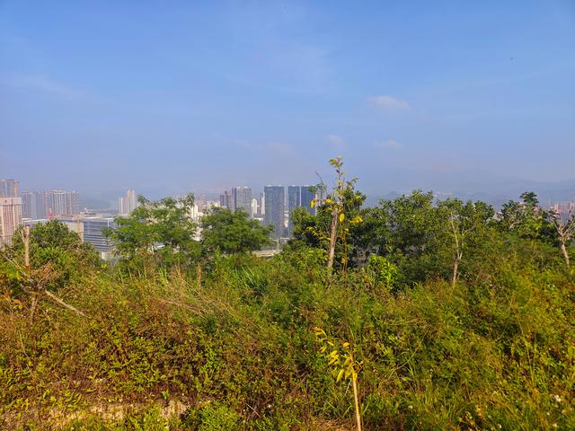 塘朗山郊野公园火车道口与绿平二路段，爬坡酸爽，骑友的天堂