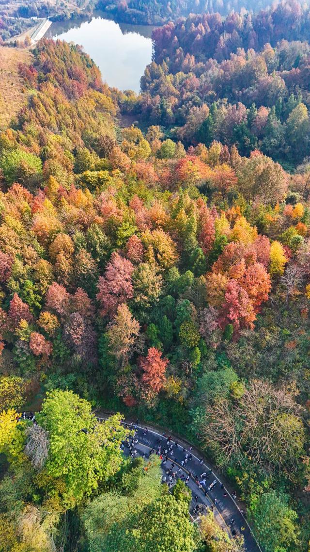 今天,万人齐聚木兰山!