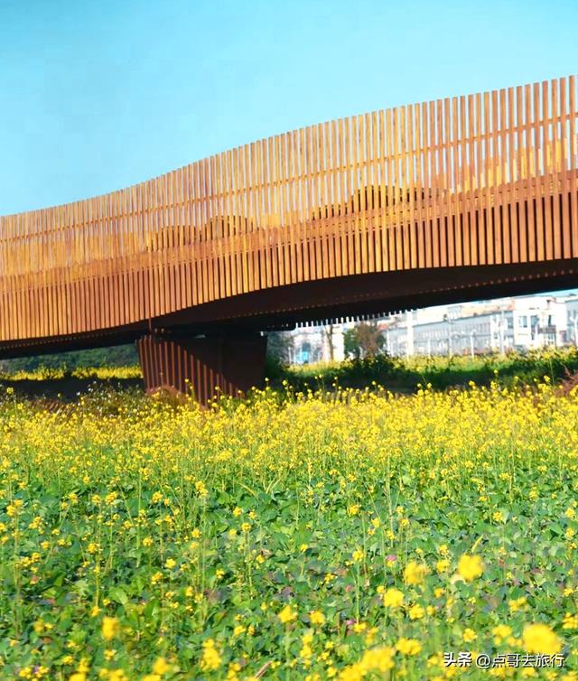 成都春天最美花开了，既壮观又唯美，这4处全免费，地铁公交可达