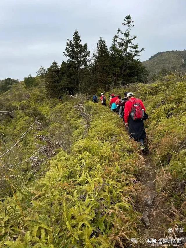 一步一景，奇石不断！温州这处奇石纷呈的的免费景区你可去过？