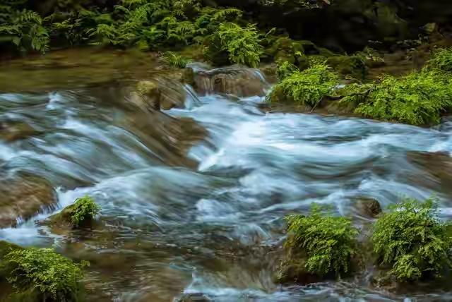 两性关系，惊人发现，60岁与异性靠近，根本不是桃花运，而是这个