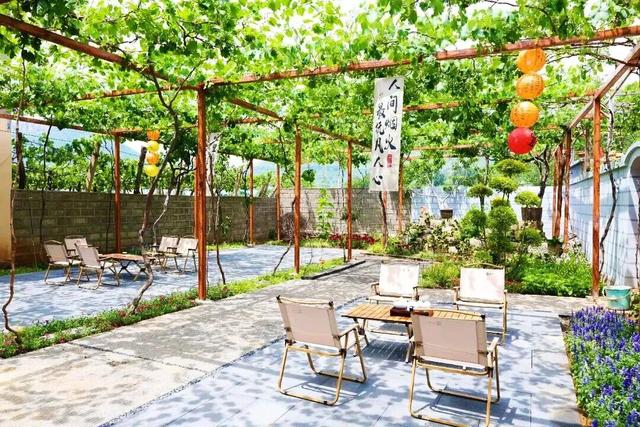 《山东省葡萄采摘全攻略》.PDF