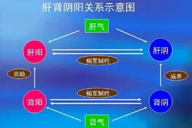 疏肝气，补肾阳，这一个药就够了图片