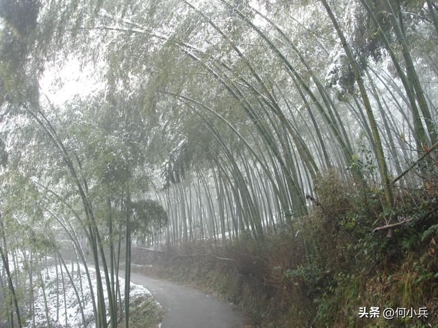 在江南小城宜兴 静候一场落雪