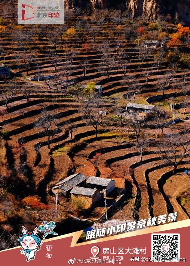 还在遗憾秋天太短暂？邀您一键保存京秋印迹