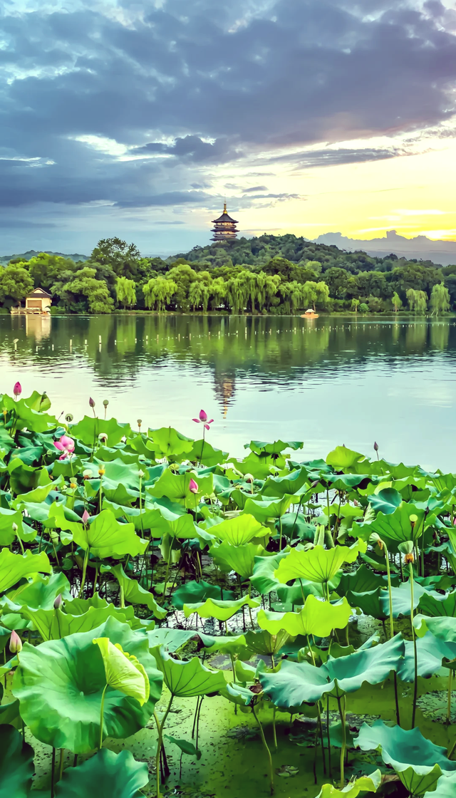 舍弃 3.6 亿门票！杭州灵隐寺永久免票，算透城市发展大账