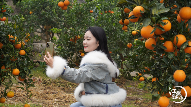 泸州“网红”漫游江安 乐享安逸时光