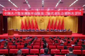 踔厉奋发踏新程 勇毅前行谱新篇——坪山区二届四次党代会召开图片