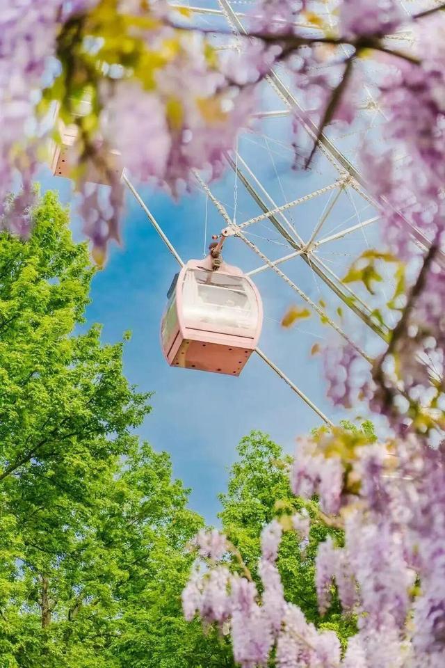 最新宣布：11月，武汉“馋哭全国”！