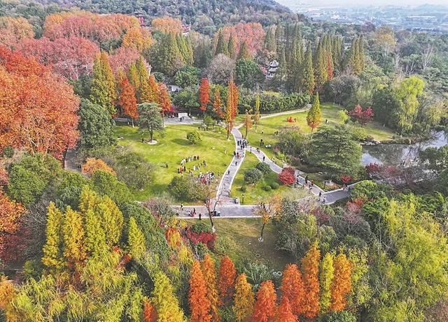 快来打卡！襄城这几地方的秋色太美了……