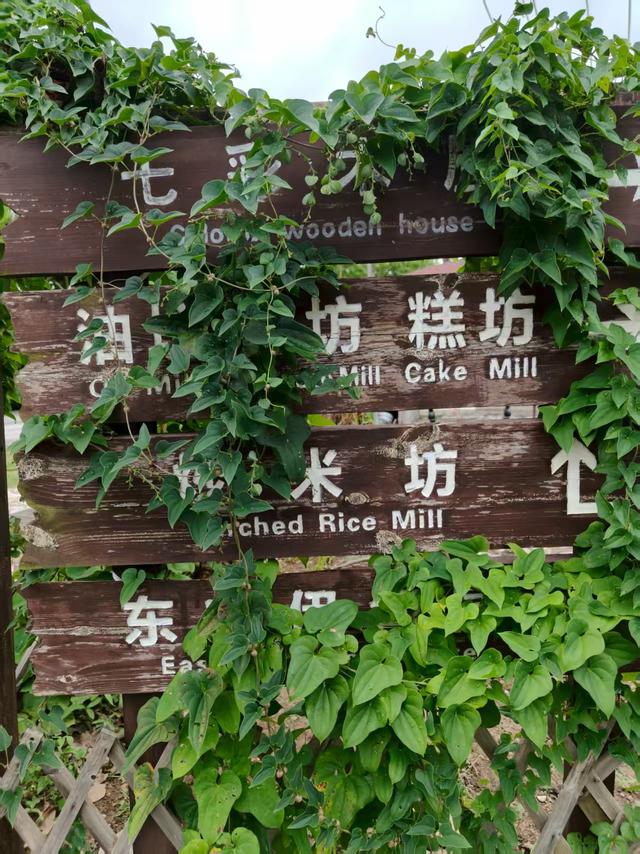 江宁汤山七坊，随便走走又何妨