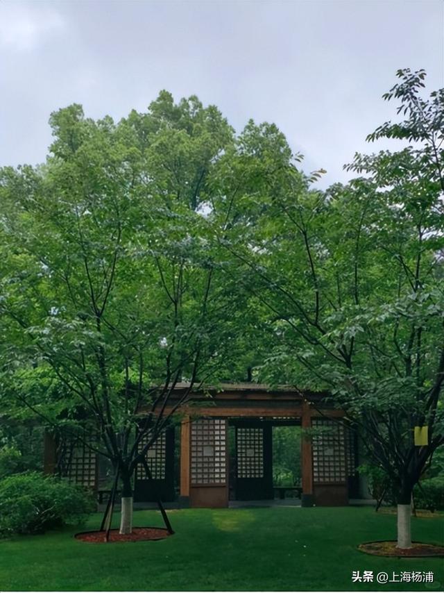 快来杨浦打卡！这条游玩线路有料又出片→