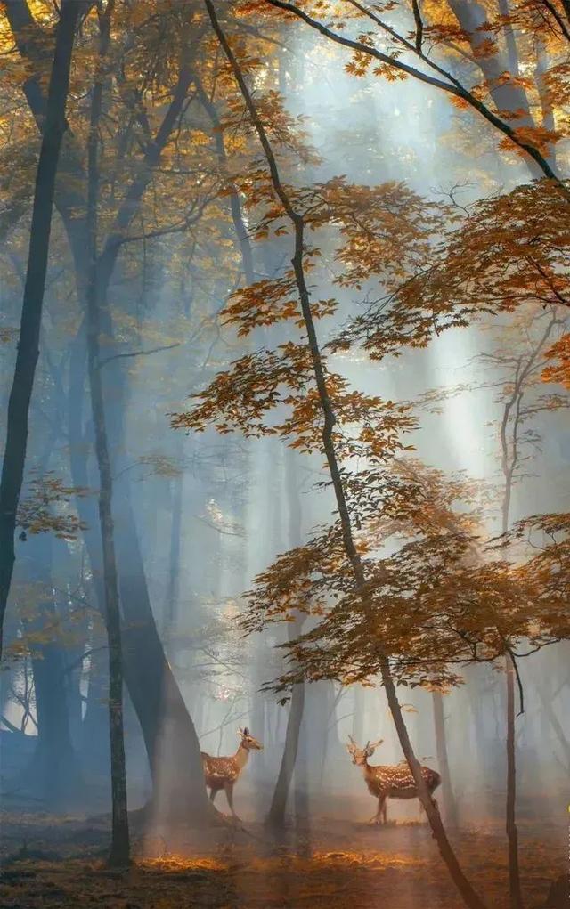 传说中的神仙山，这个季节的风景，好美~