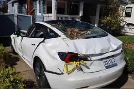 马斯克怎么成了过夜老鼠，特斯拉在美国怎么人人喊打？图片