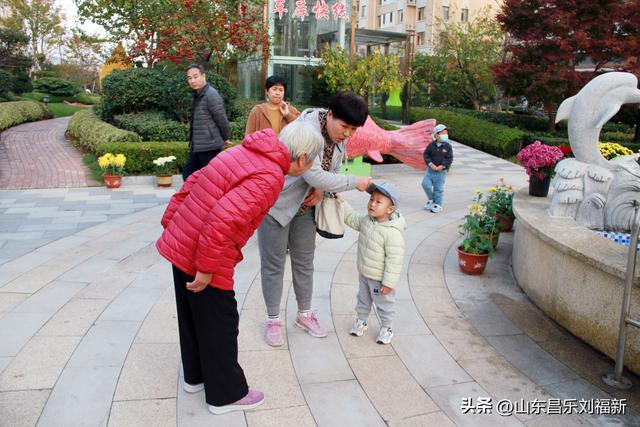 携老伴虹桥花园赏菊（上）