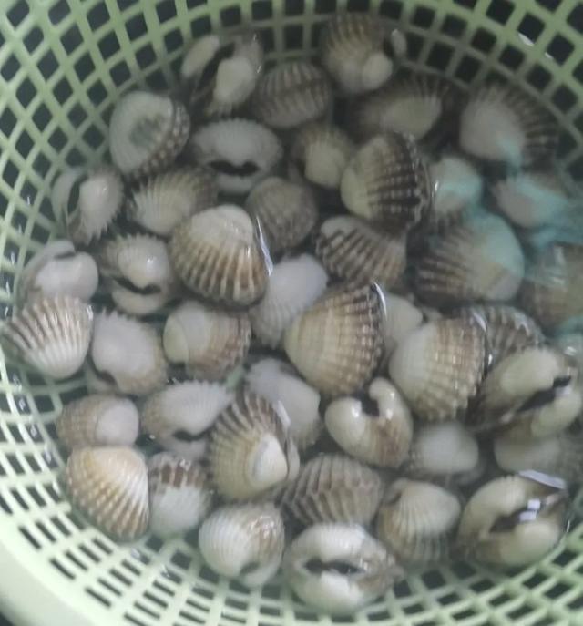 菠菜和花胶可以同吃吗 2025年菠菜可以和花胶一起吃吗 菠菜和花胶可以同吃吗 2025年菠菜可以和花胶一起吃吗