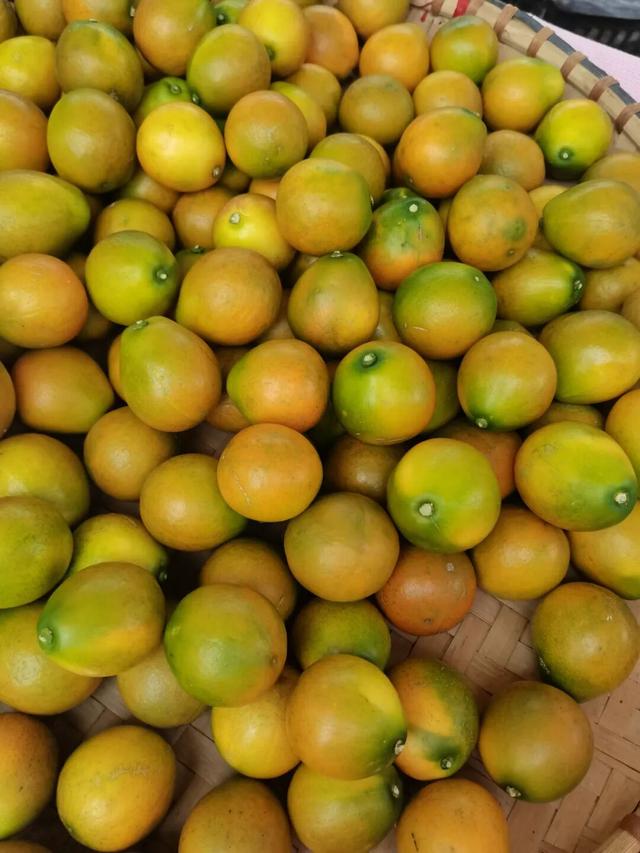 仫佬族最盛大的节日！广西罗城邀你这个周末来过依饭节咯~