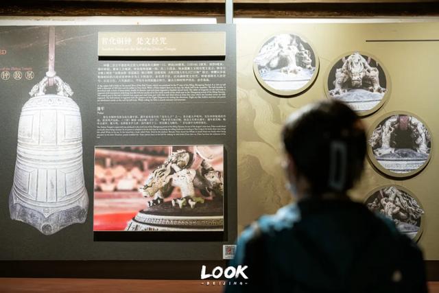 北京最新秋日打卡地 · 再看要等明年