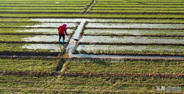 “最怕十月初一是晴天”，今天十月初一，晴天有什么可怕的？