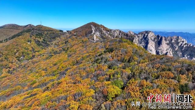秦皇岛：长城秋景如画