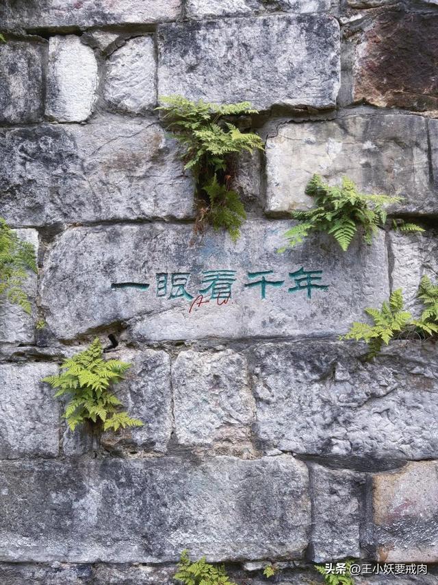 叽里咕噜说啥呢，周末let’s 去镇江！