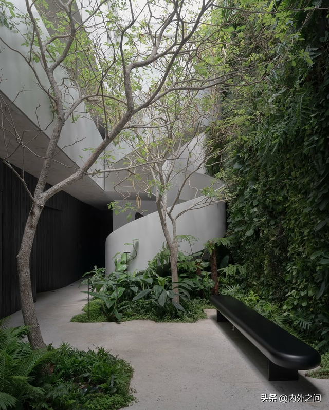 美学散步，行走间的静谧