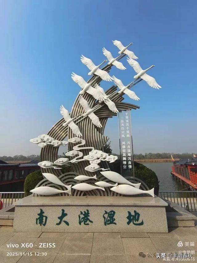 苇风载秋，鹤影映波——河北黄骅南大港湿地的初冬漫游｜ 申艳娟