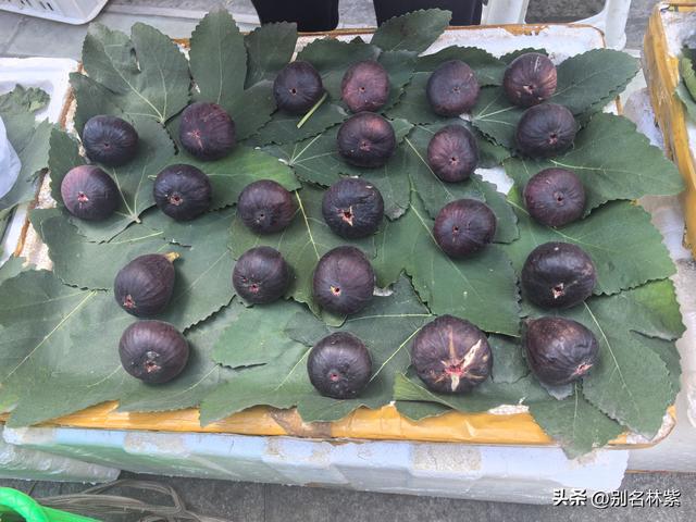 2025年川西自由行3，丹巴县城住了三晚，聊聊真实感受和旅行体验