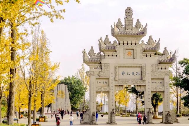 含“金”量100%！是时候来仁寿，邂逅一抹银杏黄啦~