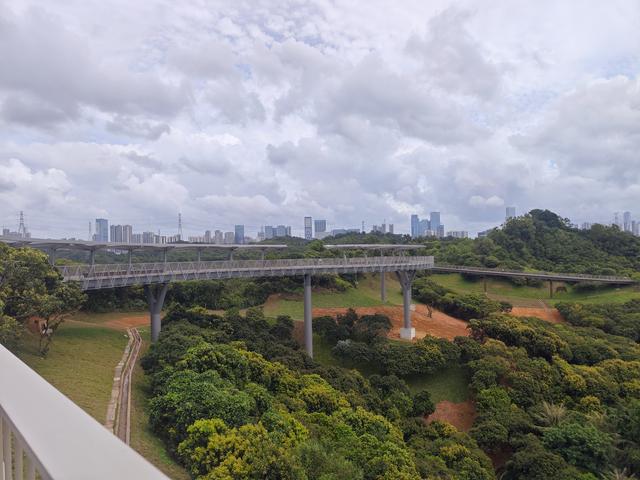 西丽湖国际科教城绿道高清随拍