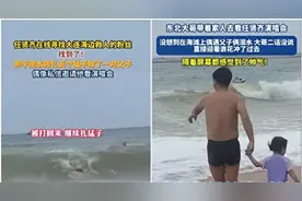 海滩救人大哥发视频苦寻被救者：为了女儿的未来，急需这份证明图片
