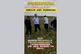 权利的任性？内蒙古24人采摘韭菜花、野蘑菇等被重罚，评论区炸锅图片