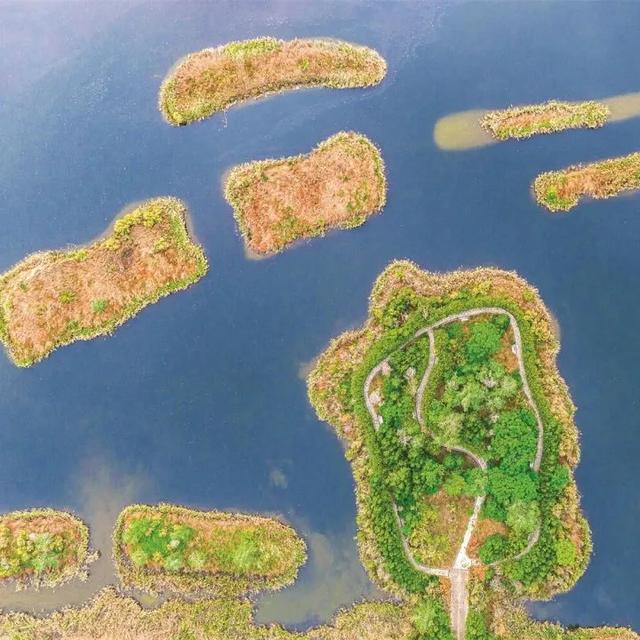 秋深景更美！运城最绚烂时刻到了！