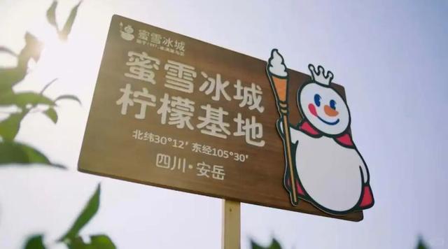 为啥蜜雪冰城会出现柠檬荒