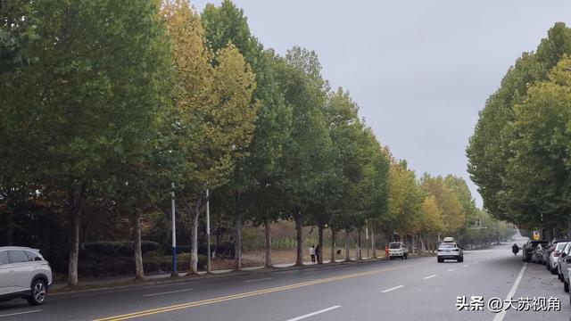 溧水南京同城游超香！可往返高速费为啥不能免？其实已经在发力了