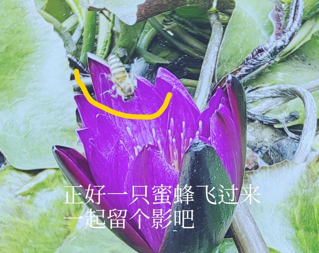 老年人的生活就是这样