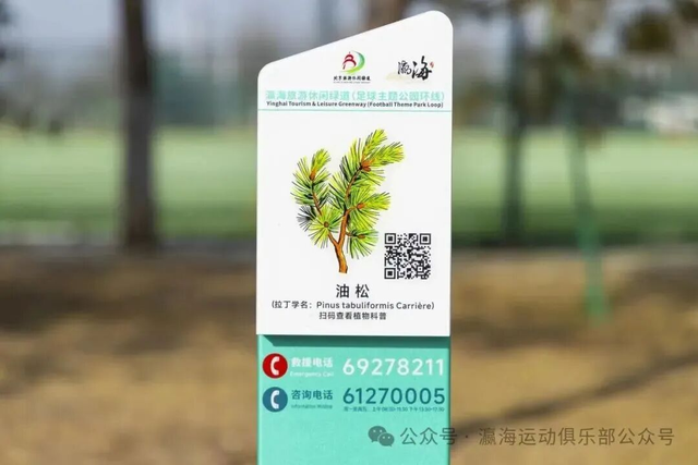 “拉布布”都去世界杯了！你还不来北京这个“顶配”足球公园踢球吗？还有——