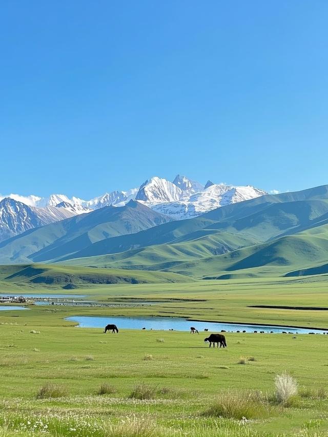 世界上只有青海才有的独一无二的14大奇景！