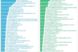 国际脊髓损伤的研究热点和未来发展方向：DeepSeek联合大数据分析图片
