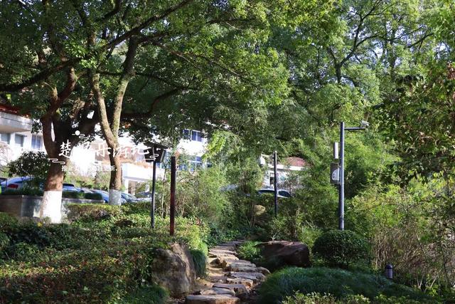 浙江绍兴这片风景真的太美了，五彩枫树犹如天然油画，拍照太出片