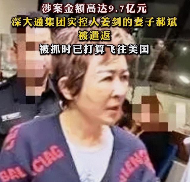 又揪出一个大贪 金额高达9点7亿 首富夫人郝斌跨境逃亡失败