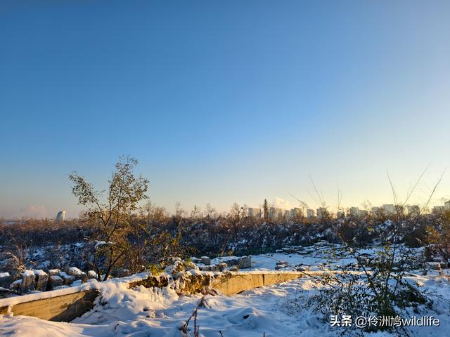 新疆乌鲁木齐红光山大佛寺