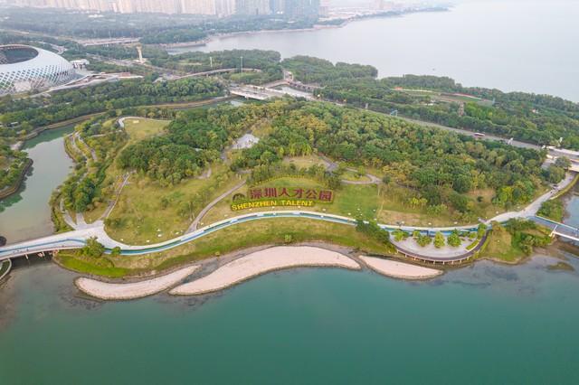 深圳有1320座公园，为何依旧人山人海？