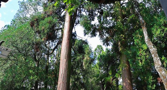 云南宋代千年古寺，建造时地下挖出大量黄金，得名涌金寺