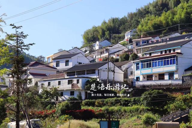浙江宁波的桃源级森林公园，藏着一条黄金古道，景美但需做好攻略