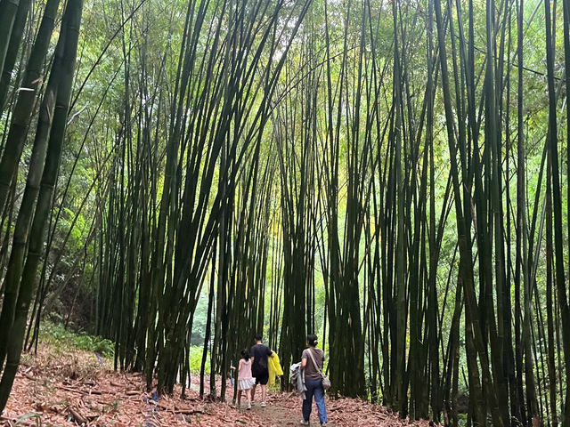 实测低9℃！成都1.5h的免费溯溪玩水遛娃路线，超安逸！