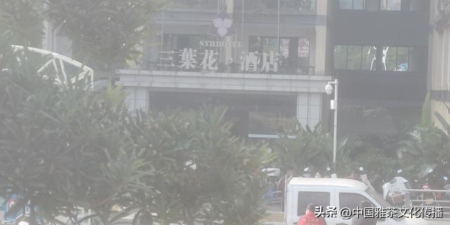 礼赞三葉花•酒店
