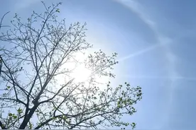 快抬头！宁波上空出现日晕图片