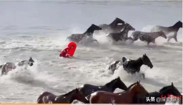 贺娇龙后事曝光：遗体连夜转回老家，丈夫一直不理解	，不想让她干